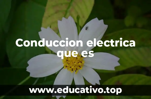 Conduccion electrica que es