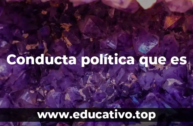 Conducta política que es