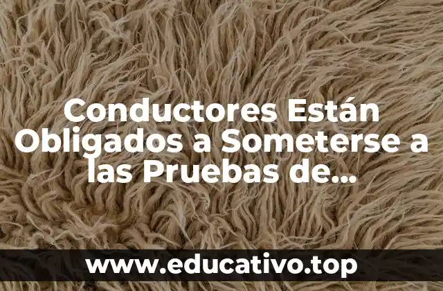 Conductores Están Obligados a Someterse a las Pruebas de Alcoholemia: Todo lo que Necesita Saber