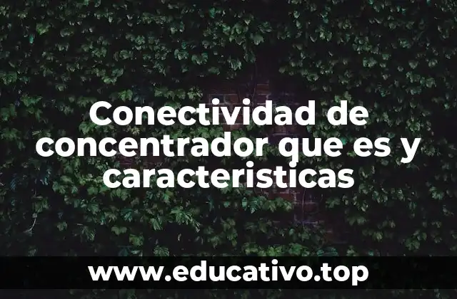 Conectividad de concentrador que es y caracteristicas