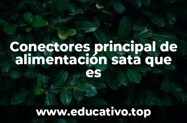 Conectores principal de alimentación sata que es