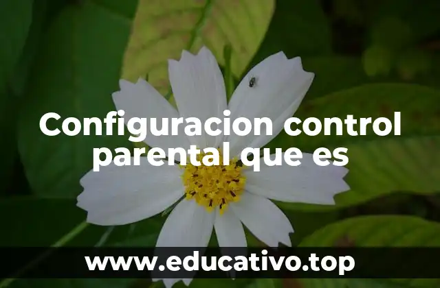 Configuracion control parental que es