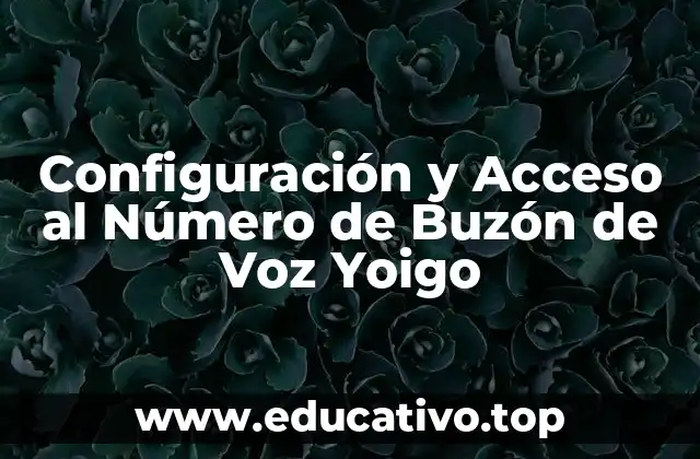 ¿Qué es el Número de Buzón de Voz Yoigo?
