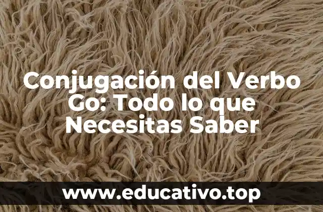 Conjugación del Verbo Go: Todo lo que Necesitas Saber