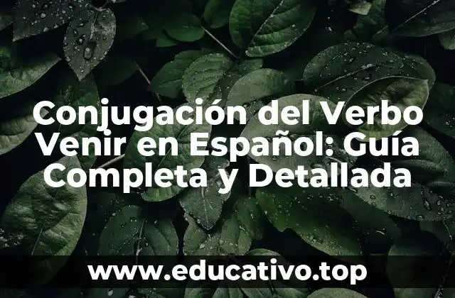 Conjugación del Verbo Venir en Español: Guía Completa y Detallada