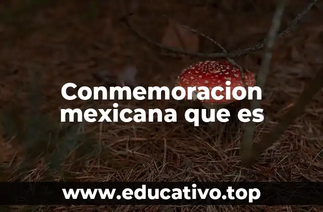 El papel de las conmemoraciones en la identidad nacional