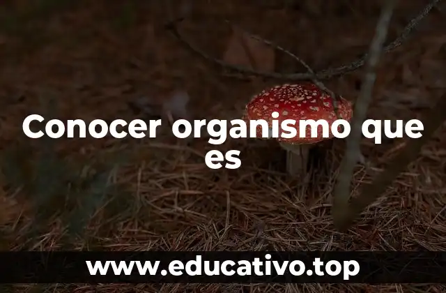 Conocer organismo que es