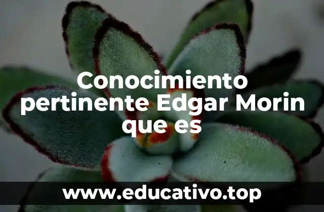 Conocimiento pertinente Edgar Morin que es