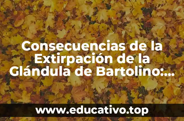 Consecuencias de la Extirpación de la Glándula de Bartolino: Todo lo que Debes Saber