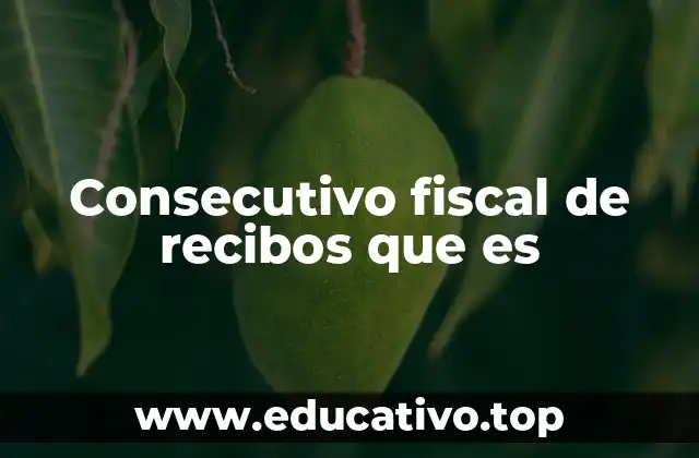Consecutivo fiscal de recibos que es