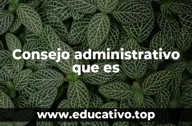 El rol de los consejeros en la gobernanza corporativa