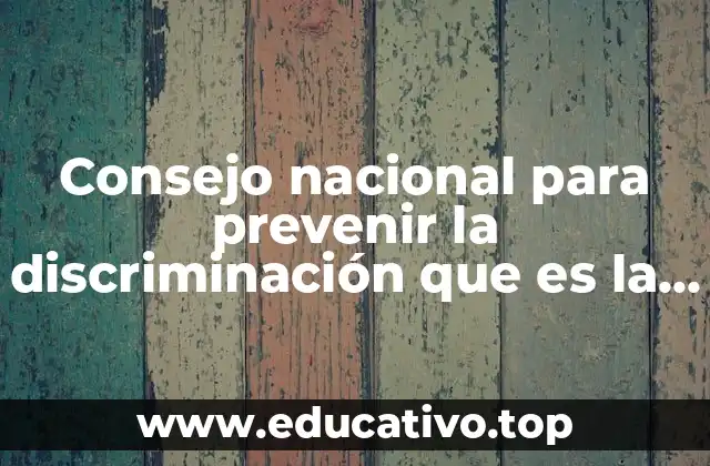 Consejo nacional para prevenir la discriminación que es la vulnerabilidad