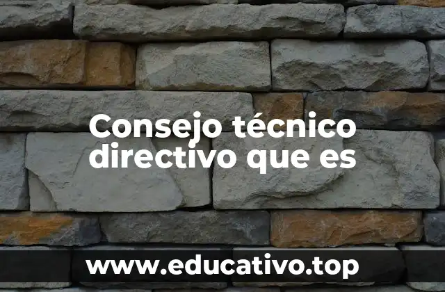 Consejo técnico directivo que es