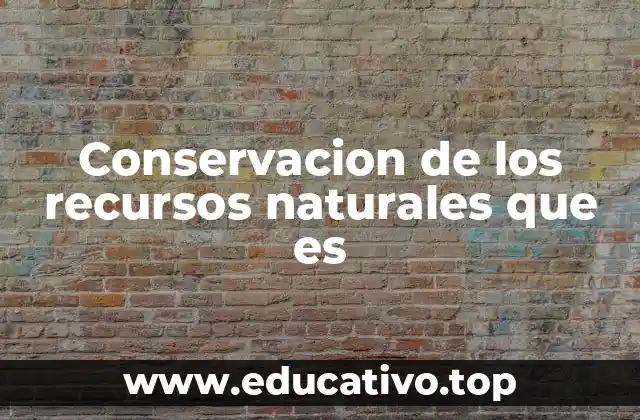 Conservacion de los recursos naturales que es