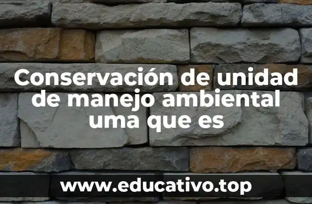 El rol de las comunidades en la preservación de espacios naturales