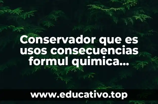 Conservador que es usos consecuencias formul quimica productos