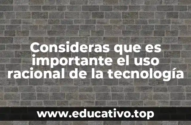Consideras que es importante el uso racional de la tecnología