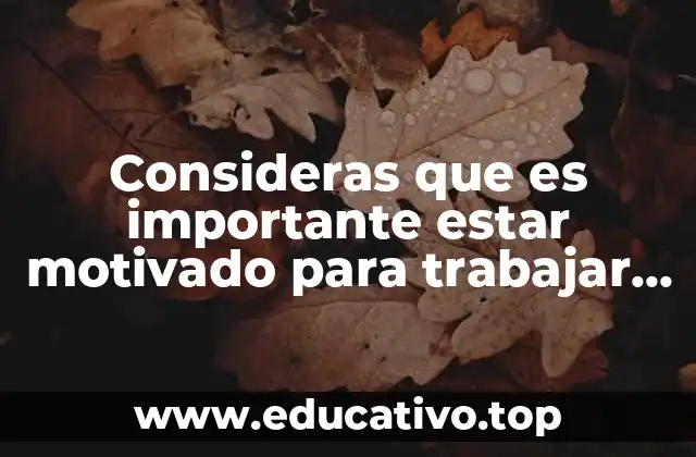 Consideras que es importante estar motivado para trabajar eficientemente