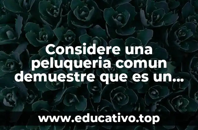 Considere una peluqueria comun demuestre que es un sistema