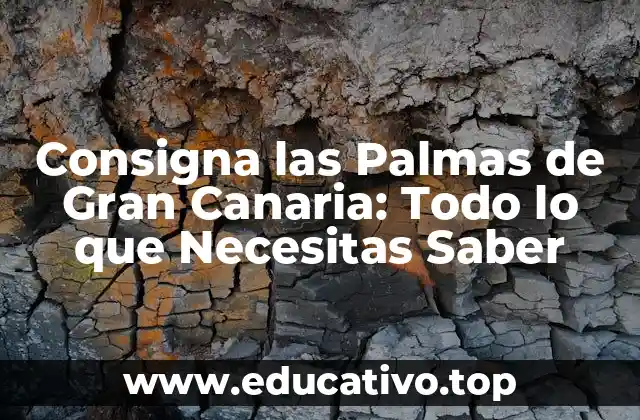 Consigna las Palmas de Gran Canaria: Todo lo que Necesitas Saber