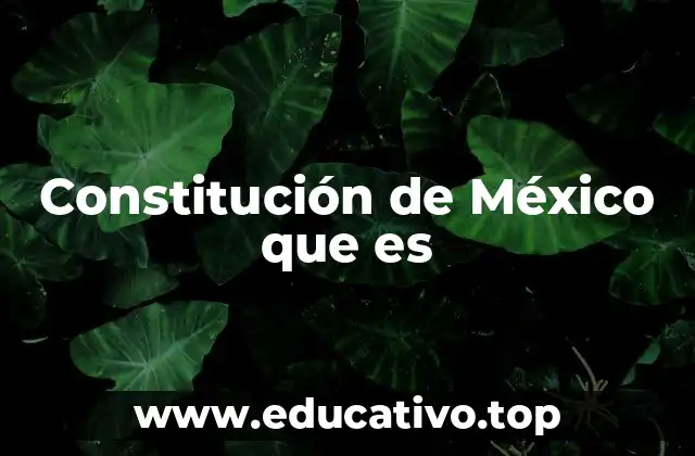 Constitución de México que es