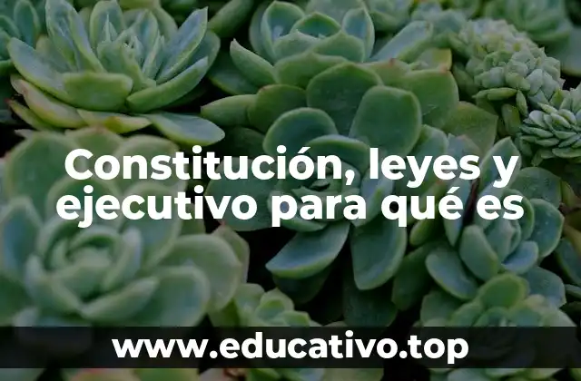 Constitución, leyes y ejecutivo para qué es