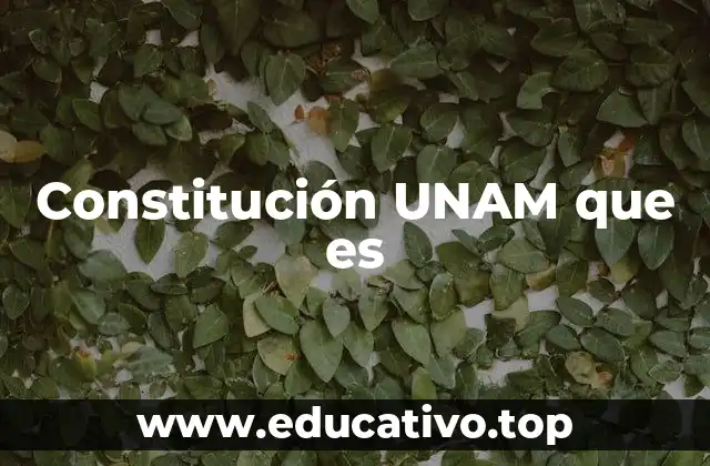 Constitución UNAM que es
