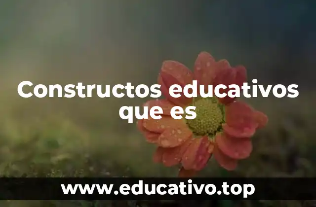 Constructos educativos que es