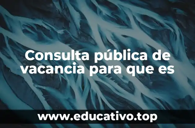 Consulta pública de vacancia para que es