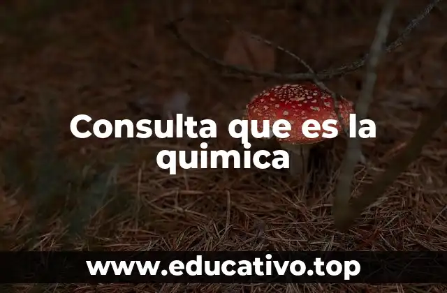 Consulta que es la quimica