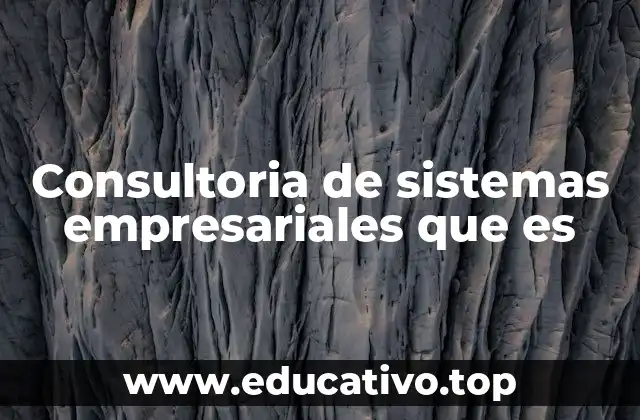 Consultoria de sistemas empresariales que es