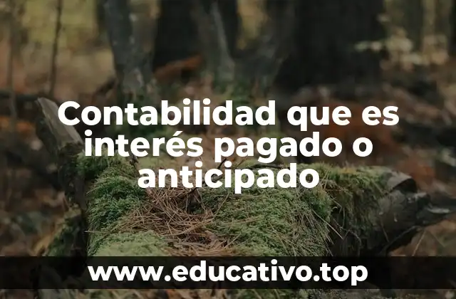 Contabilidad que es interés pagado o anticipado