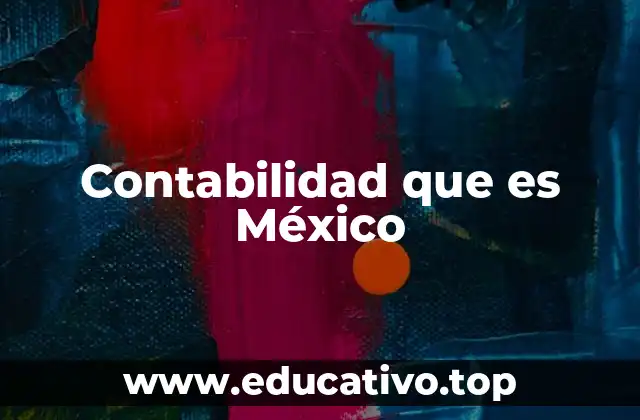 Contabilidad que es México