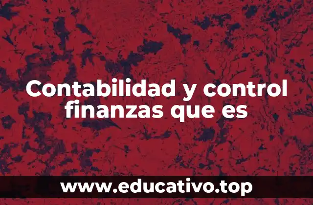 Contabilidad y control finanzas que es