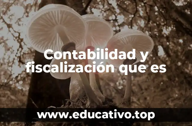 Contabilidad y fiscalización que es