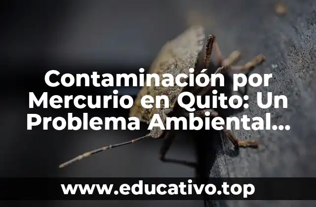 Contaminación por Mercurio en Quito: Un Problema Ambiental Urgente