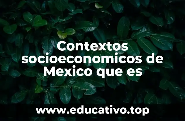 Contextos socioeconomicos de Mexico que es