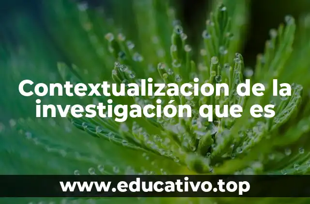 Contextualizacion de la investigación que es