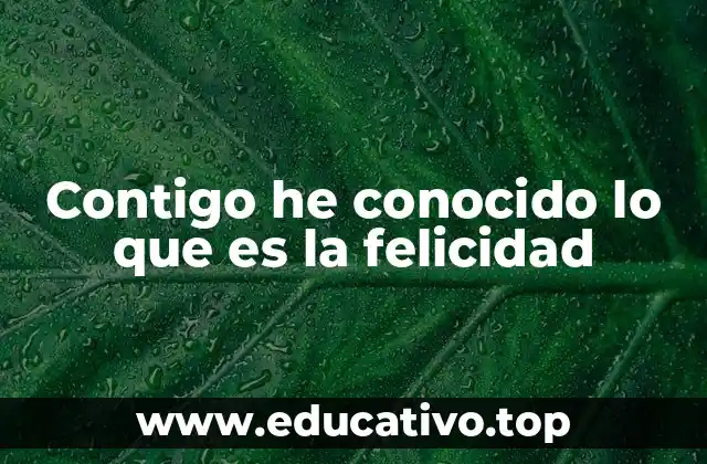 La importancia de las frases que expresan gratitud emocional