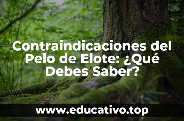 Contraindicaciones del Pelo de Elote: ¿Qué Debes Saber?