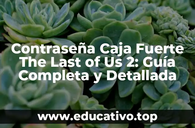 Contraseña Caja Fuerte The Last of Us 2: Guía Completa y Detallada