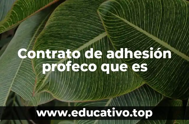 Contrato de adhesión profeco que es