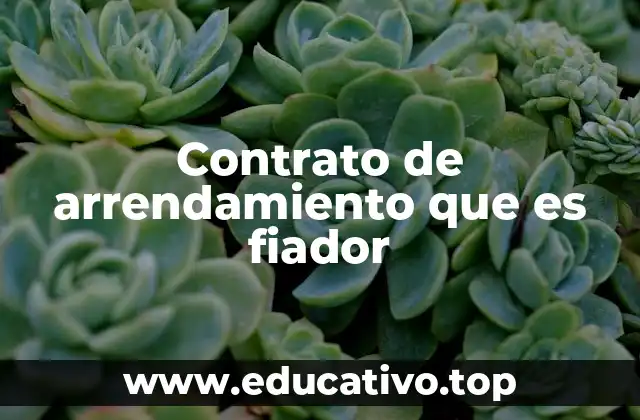 Contrato de arrendamiento que es fiador