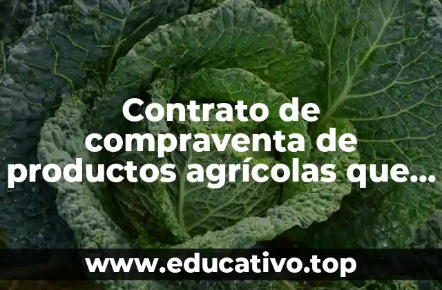 Contrato de compraventa de productos agrícolas que es