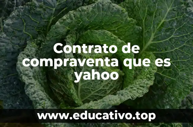 Contrato de compraventa que es yahoo