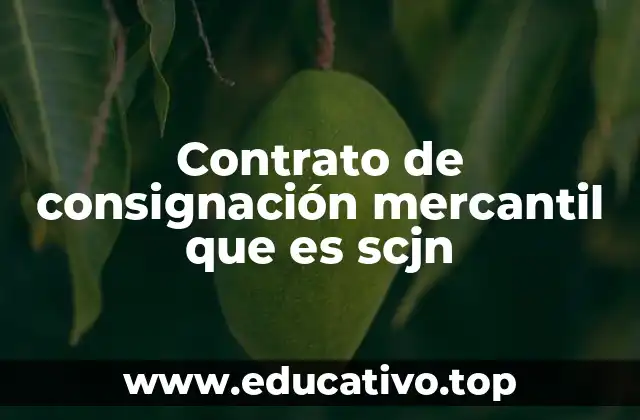 Contrato de consignación mercantil que es scjn