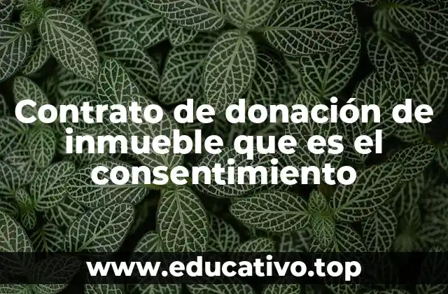 Cómo se manifiesta el consentimiento en una donación de inmueble