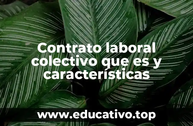 Contrato laboral colectivo que es y características