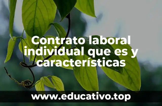 Contrato laboral individual que es y características