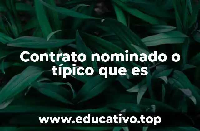 Diferencias entre contratos típicos y atípicos